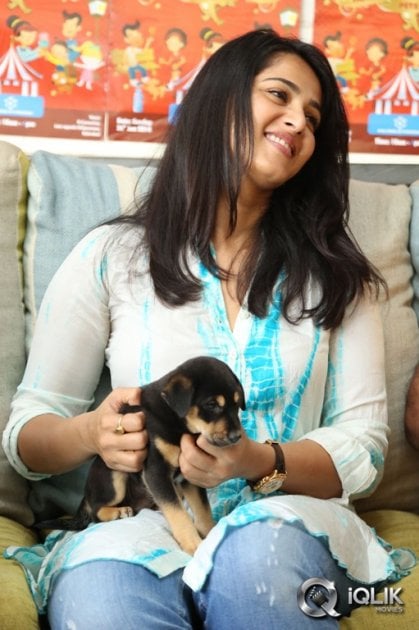 Anushka-at-Blue-Cross-Pet-Carnival-2014